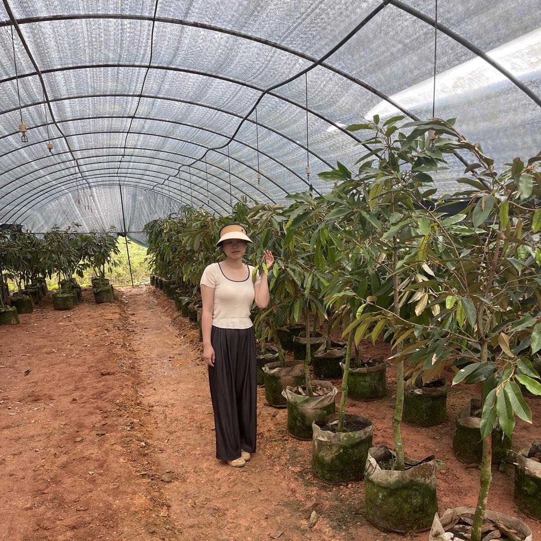 榴乡林绿植专营店铺