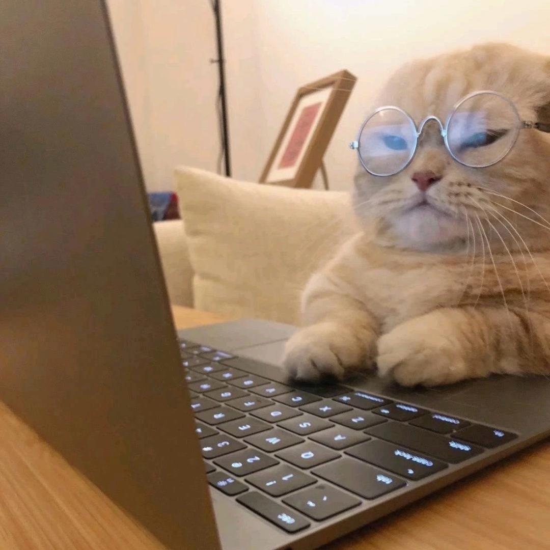 打瞌睡🐱