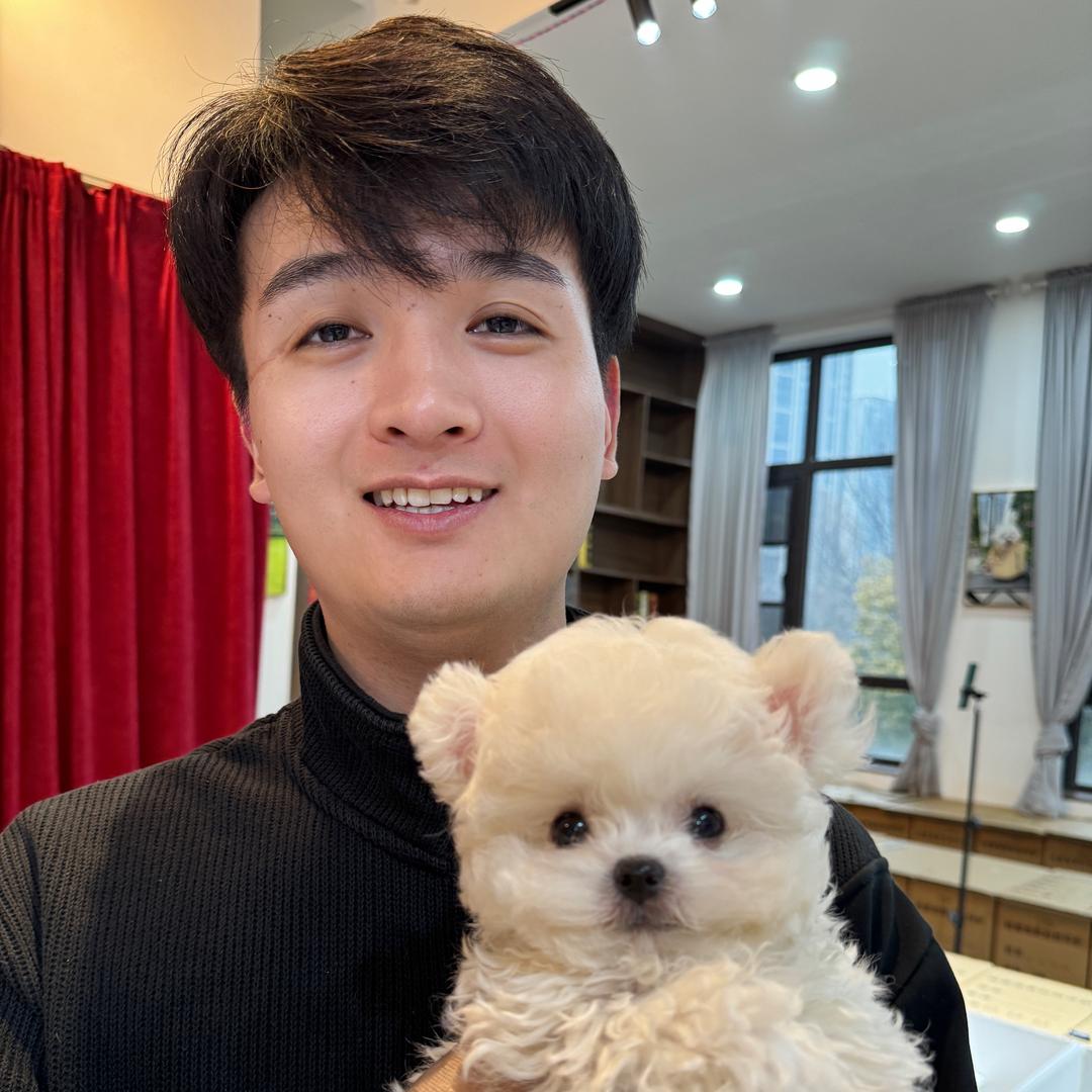 小康家韩系小比熊