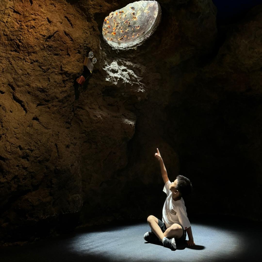 🌈🌈觅.🌈🌈