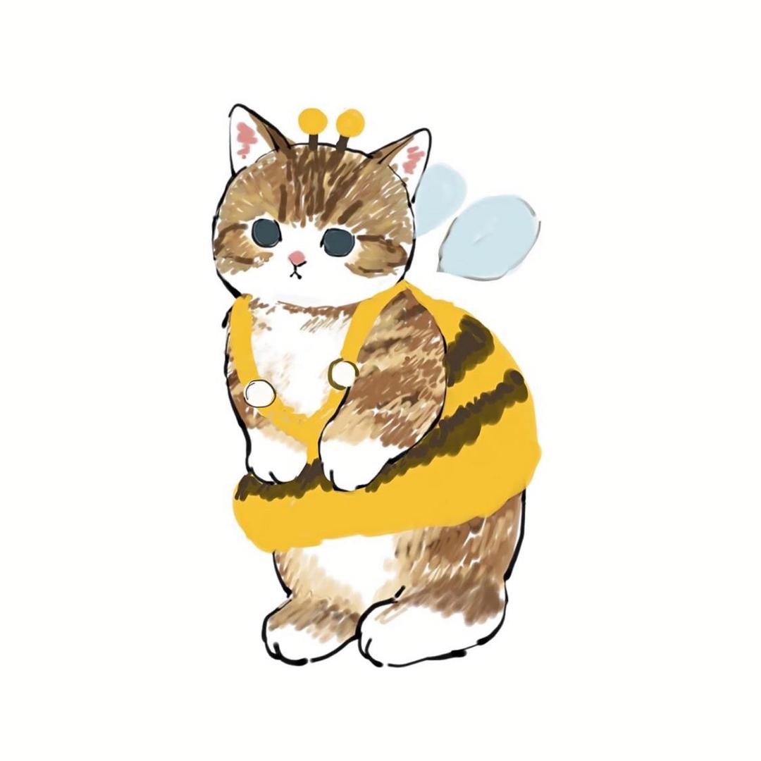 星河一叶舟