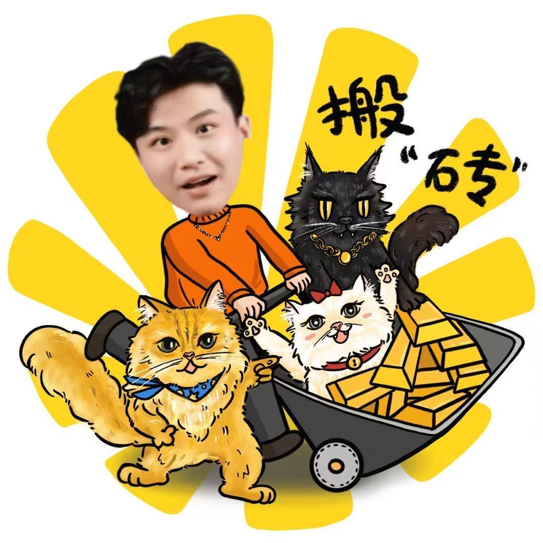 杨仔养猫