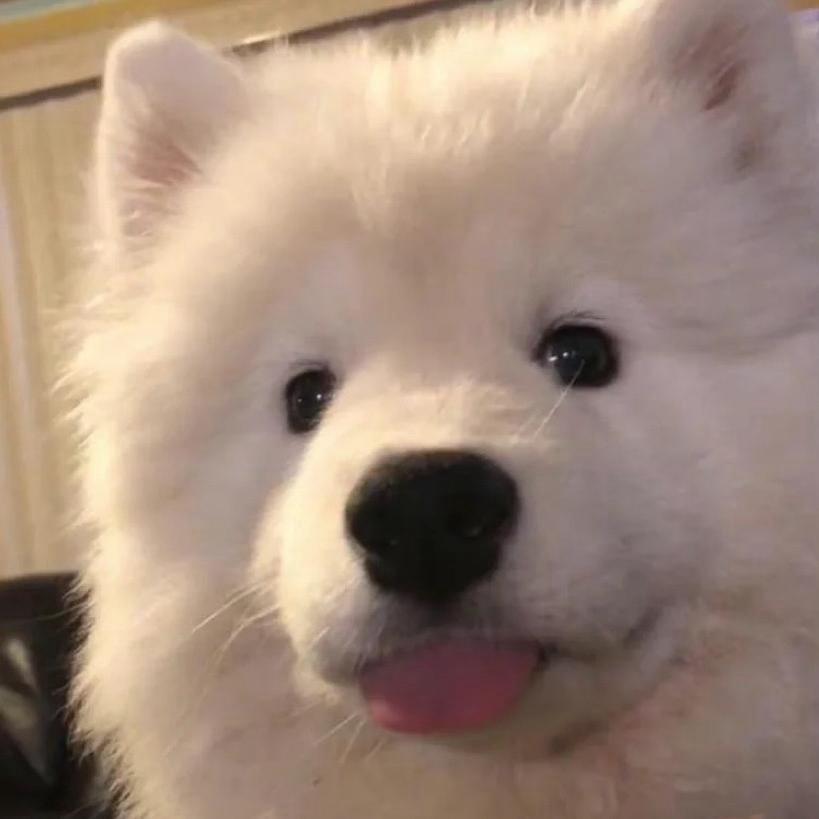 耶y