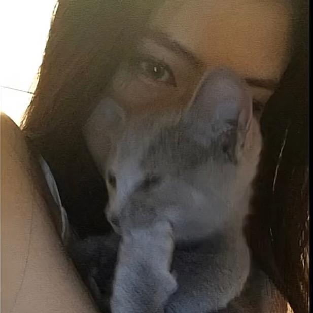 小鱼