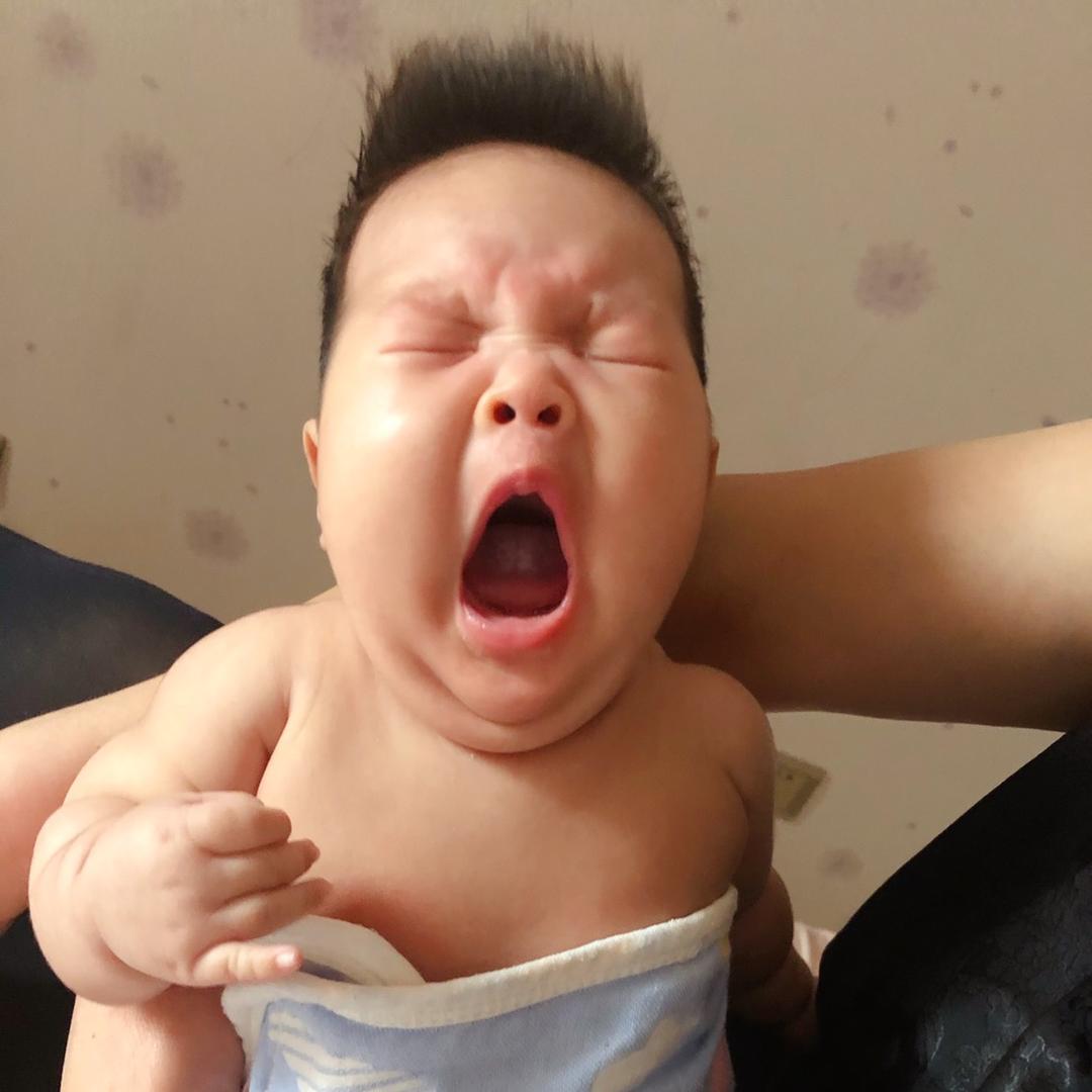 黑土的一天（墨墨）