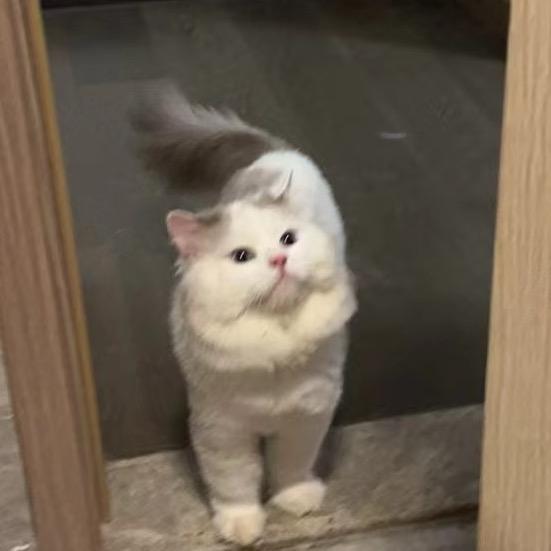 A-