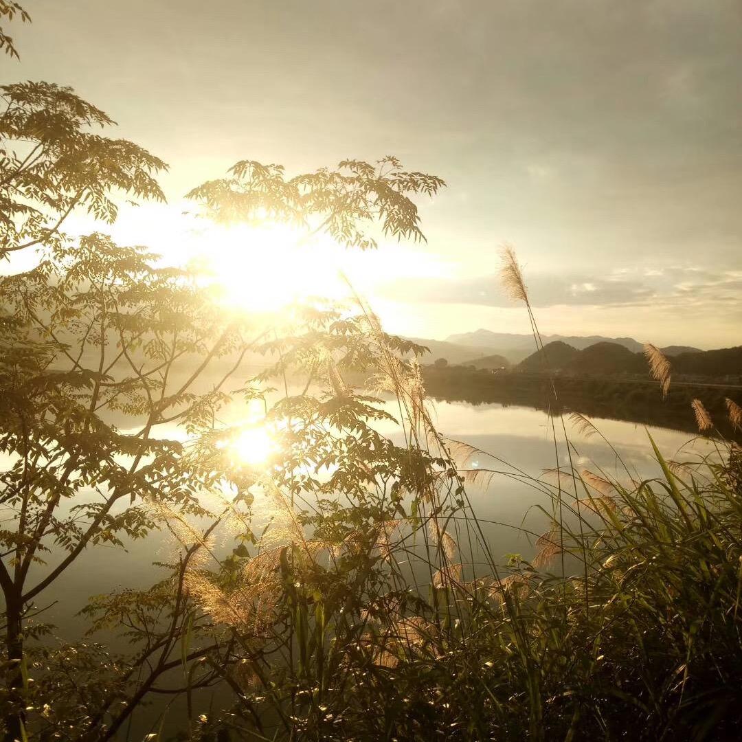 老啤酒@第三视角看餐饮