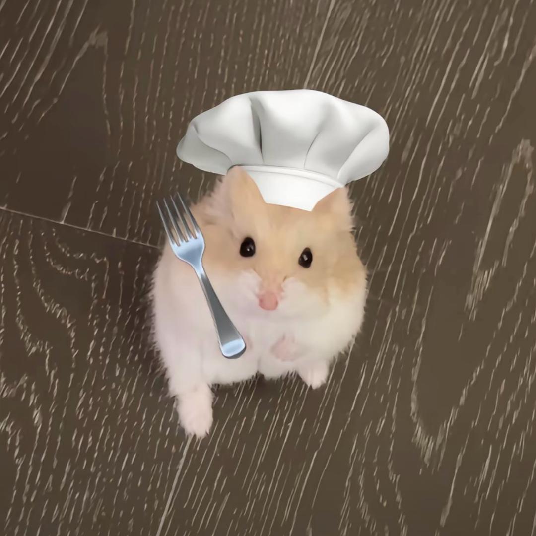 朦锦