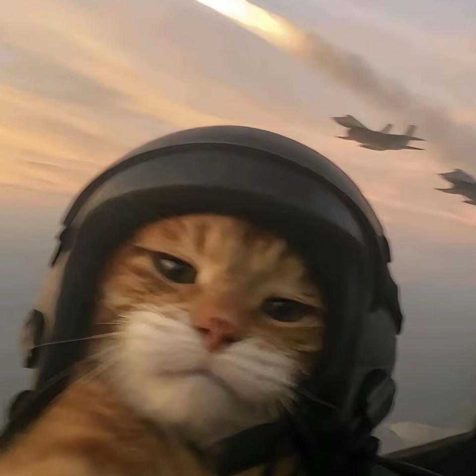 网约车牛马真人秀