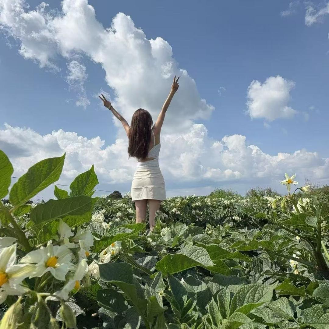 A李菲（团队招人）