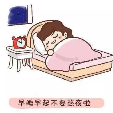 躺平小猪猪
