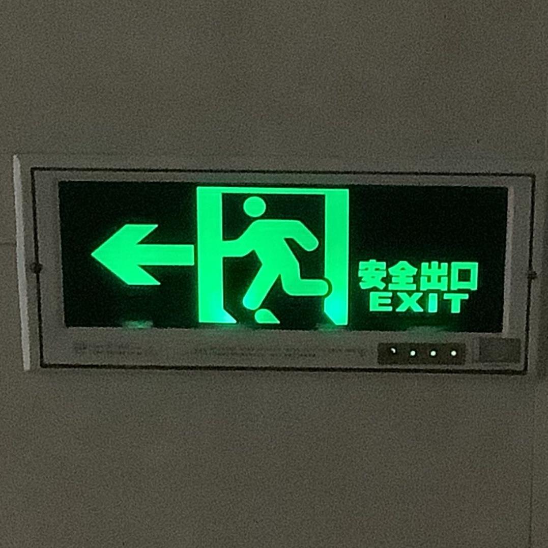 见春