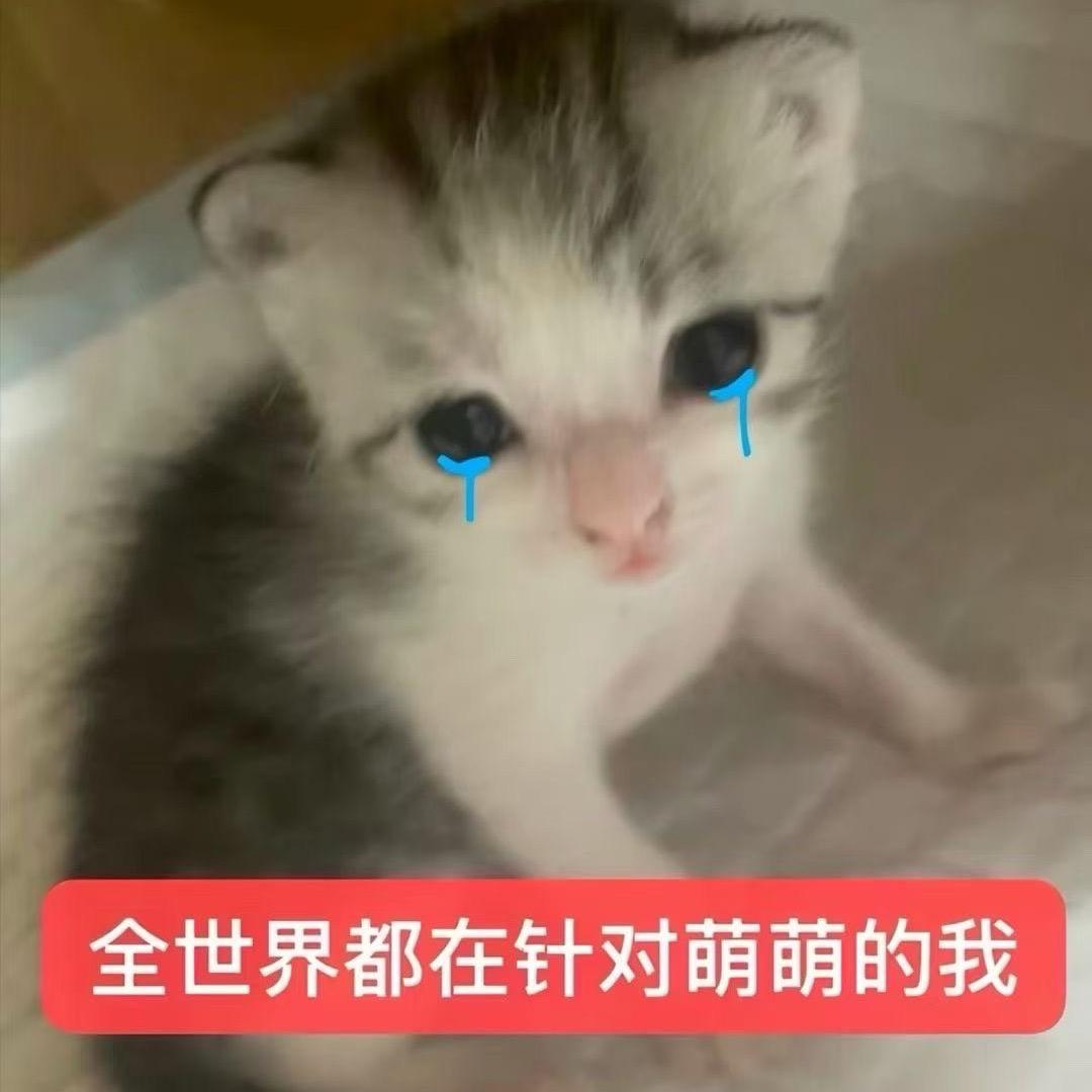 我惹你没