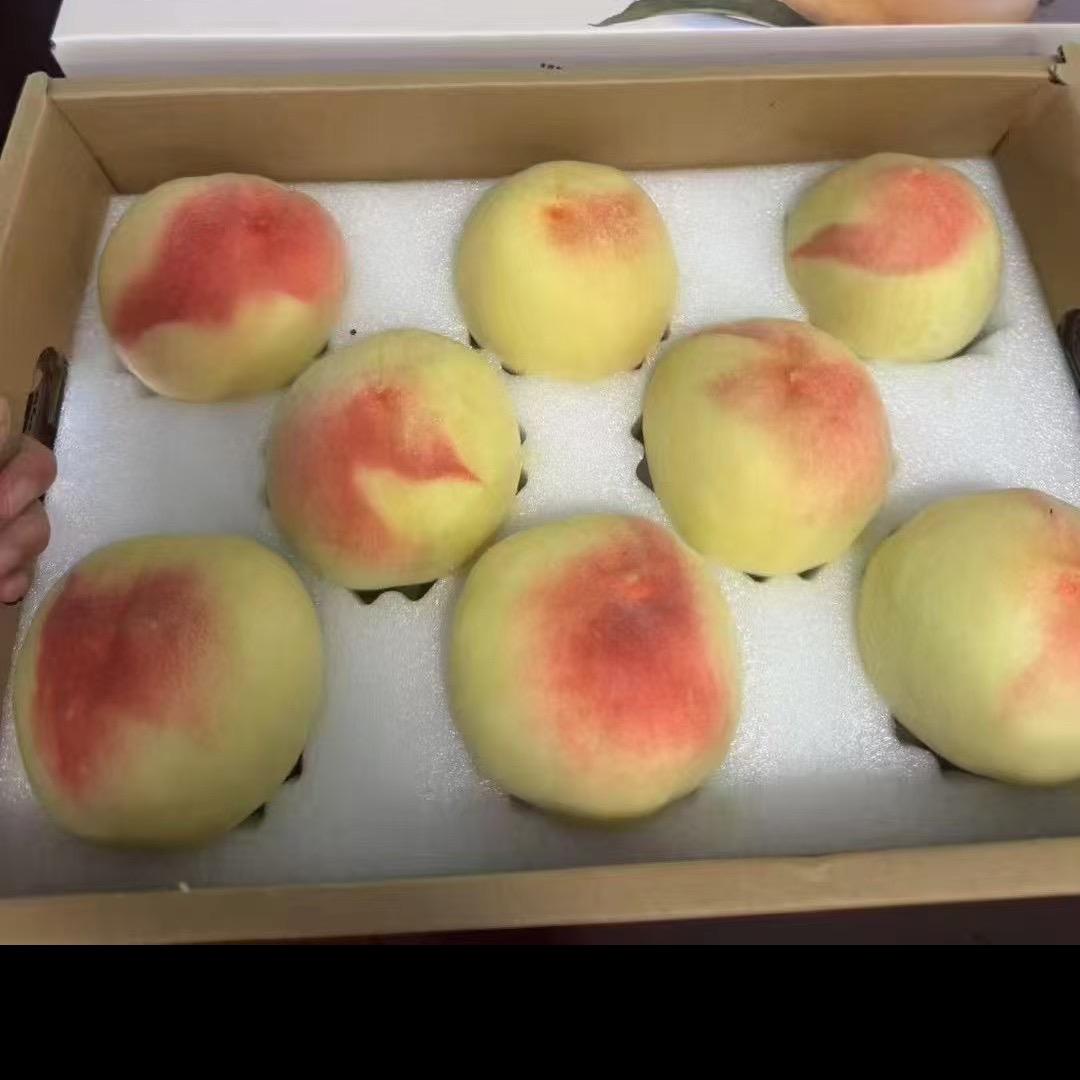 朱朱果园
