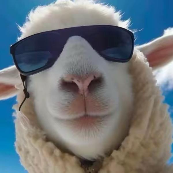 渴望不一定得到