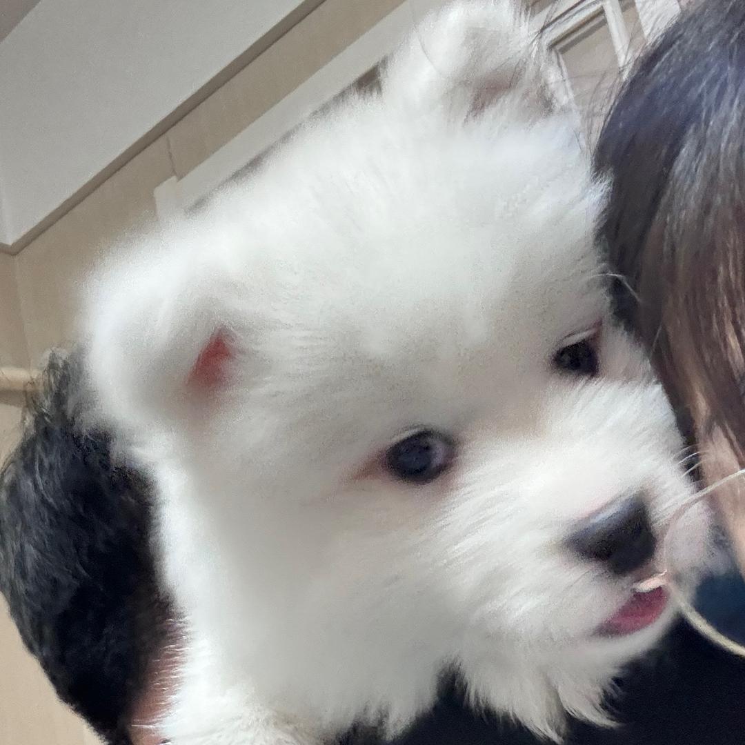 lucky耶和开心熊