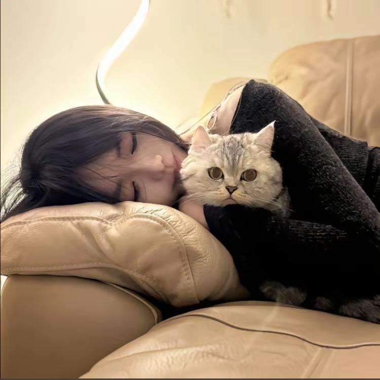 杨舒