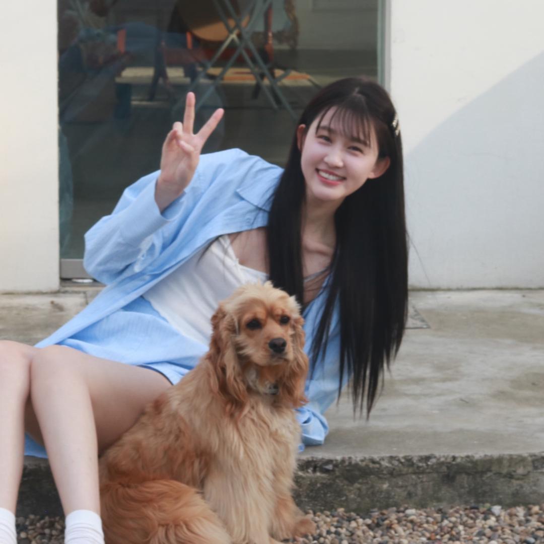 潘潘图图（备婚版
