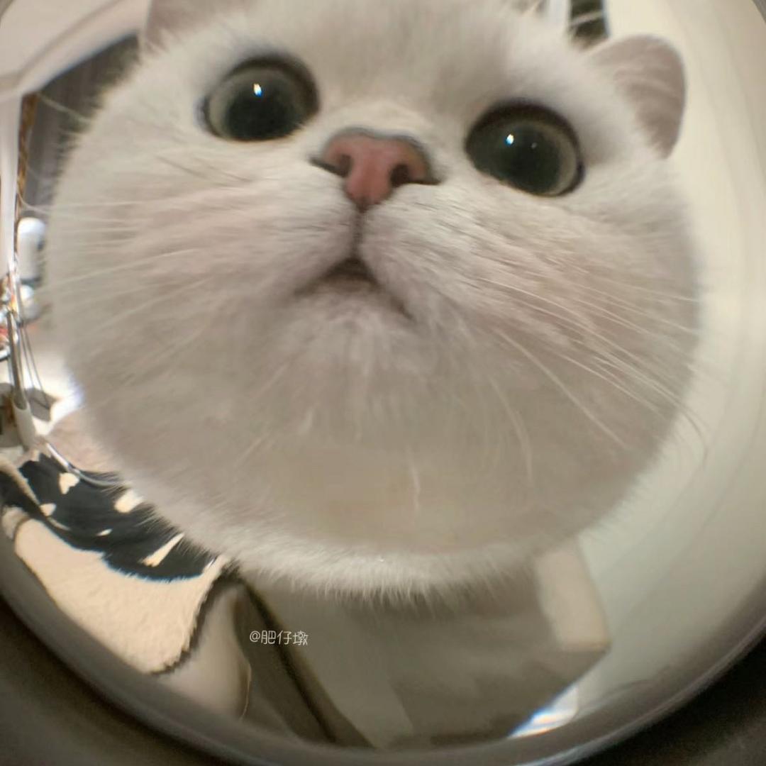 🌈AAA啊啊啊啊啊啊啊啊啊啊啊