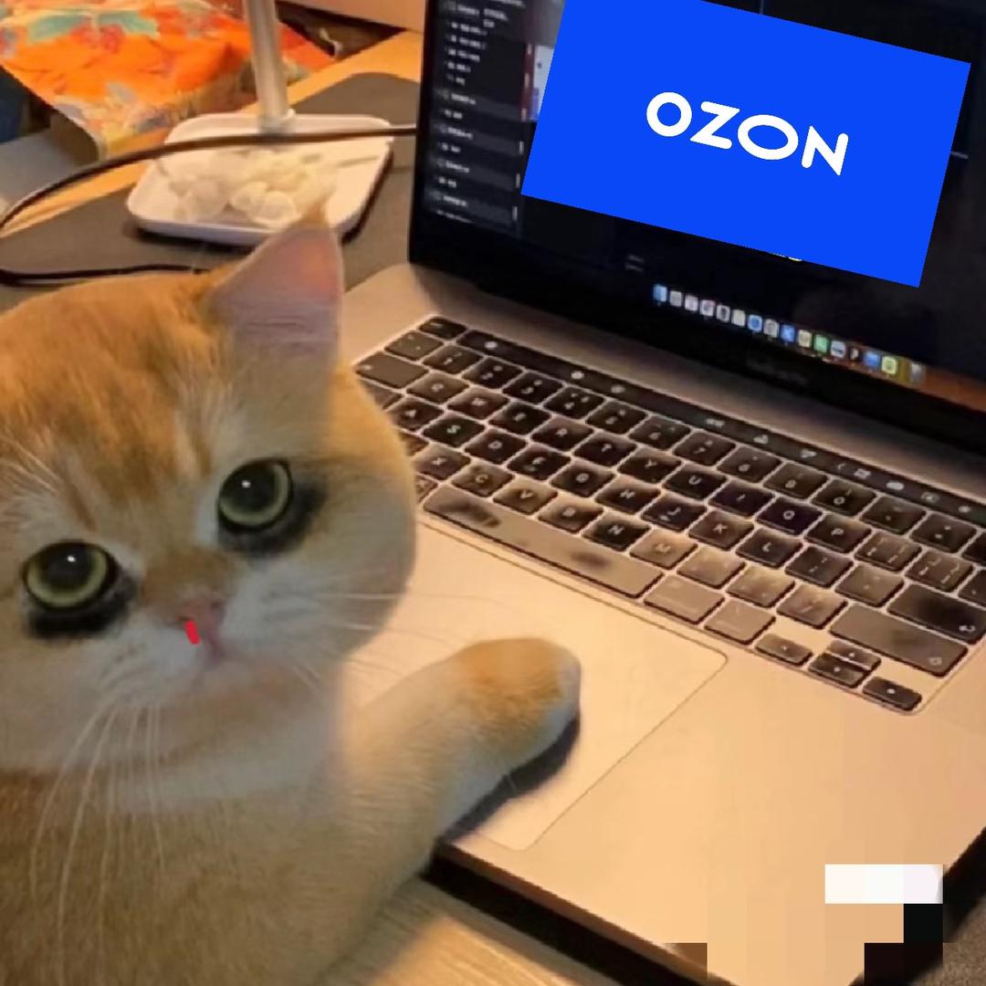 Ozon大队长（七古电商）