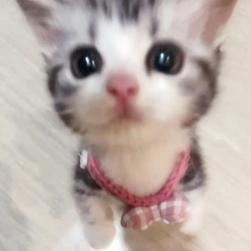 cᐝ