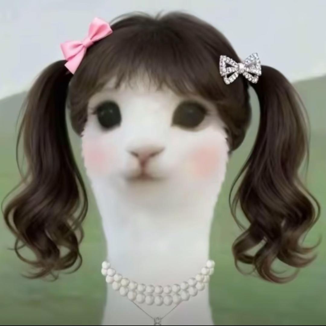 情寶