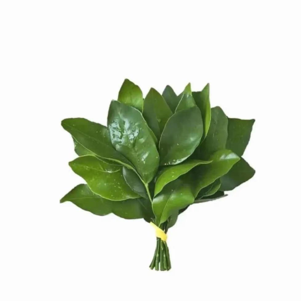 🧁奶油桃子🍑