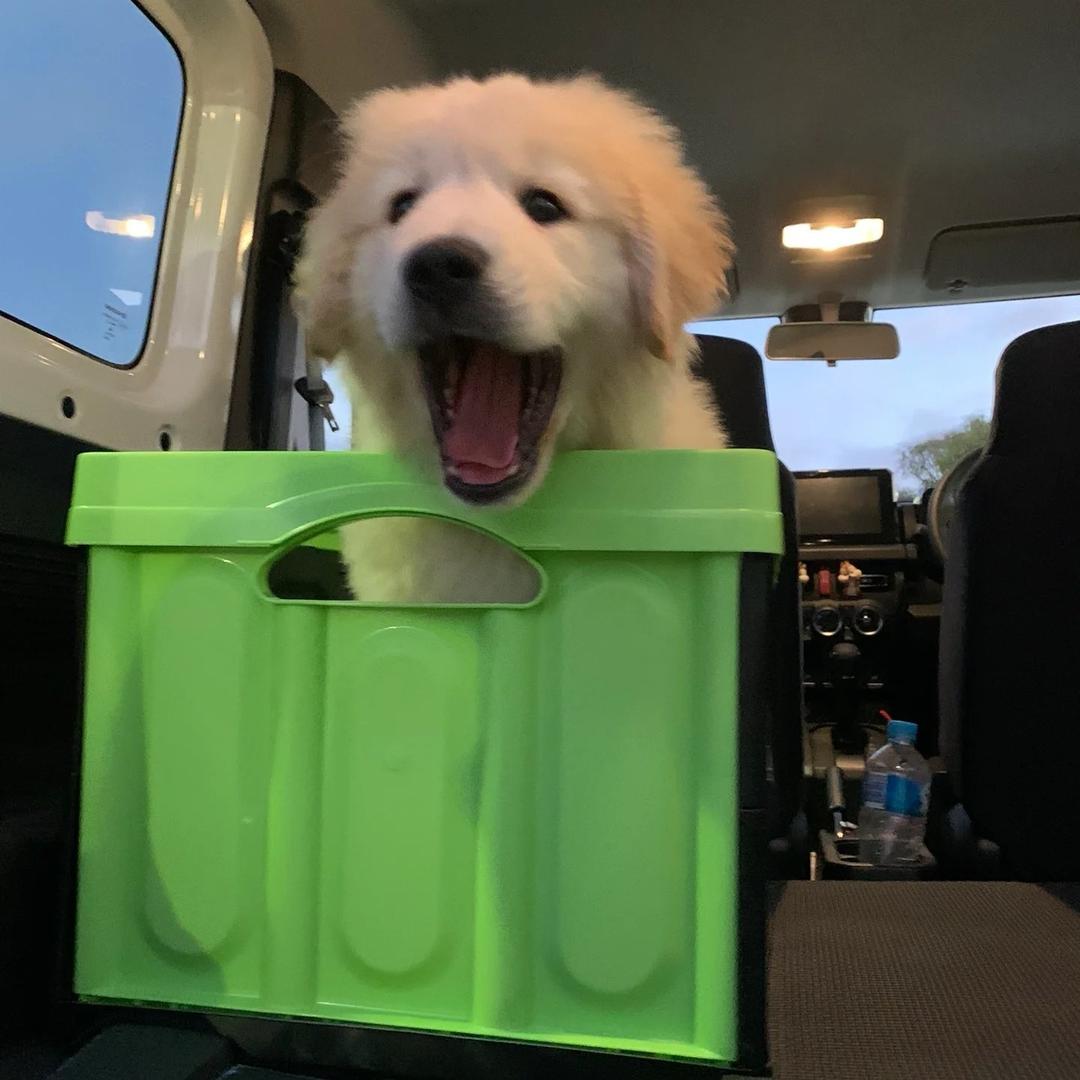 是时候该变身了