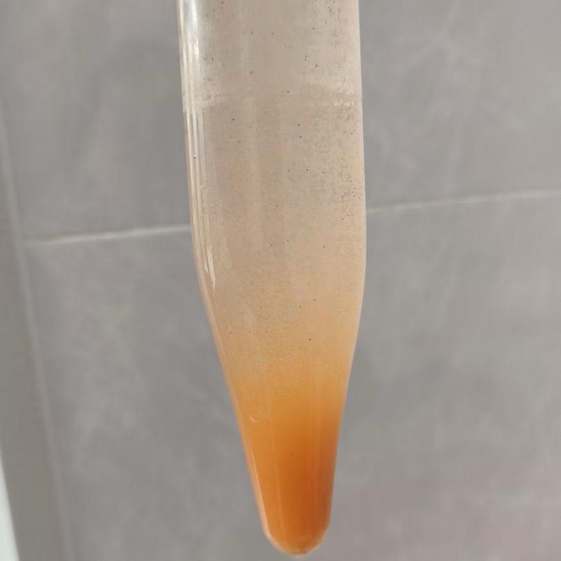 吉利丰年虾大红卵