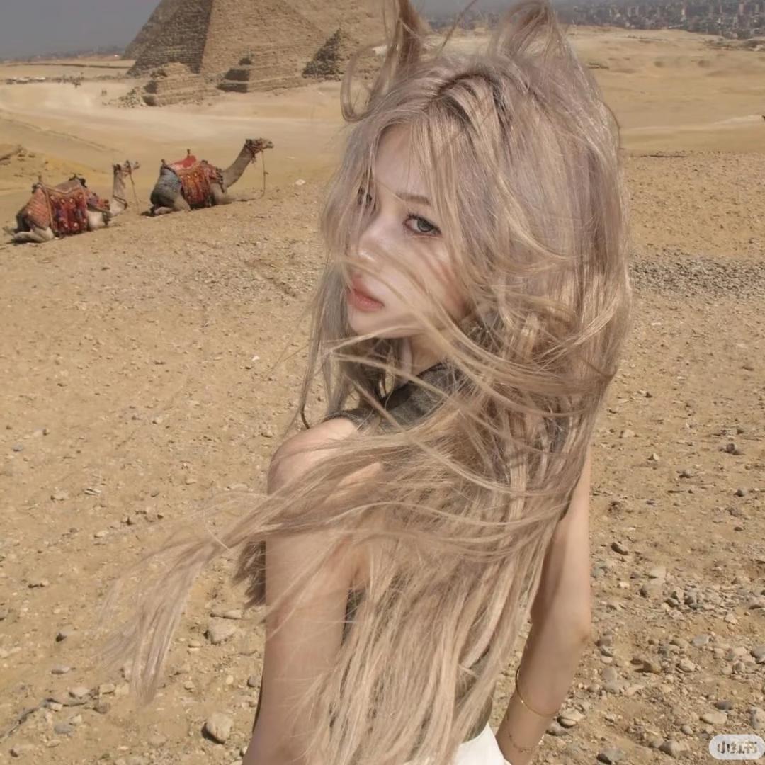 六六36（6不6版）