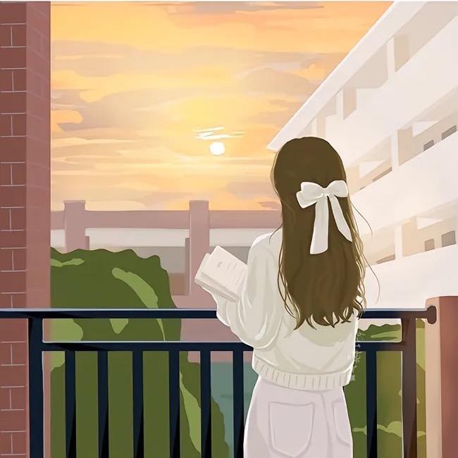 维维老师教文史