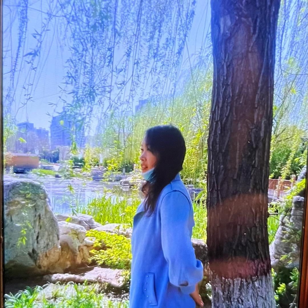 卢姐姐