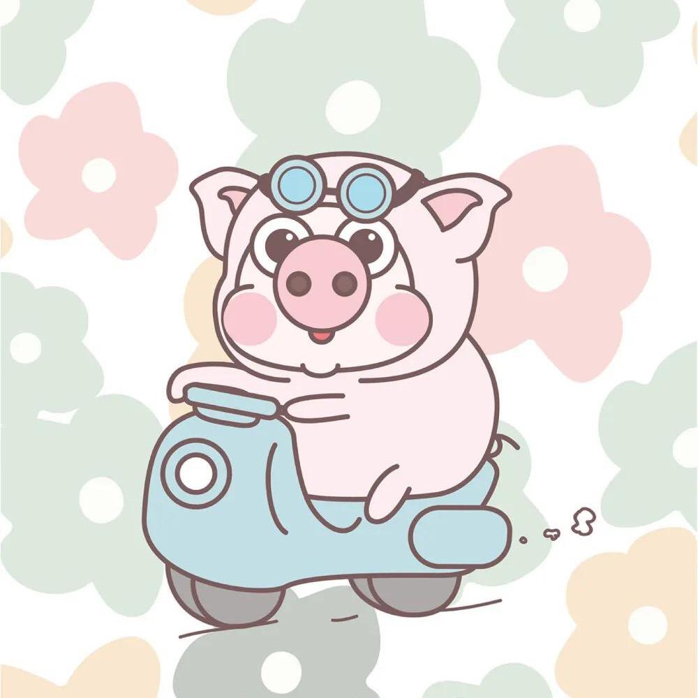 小👋抓饼