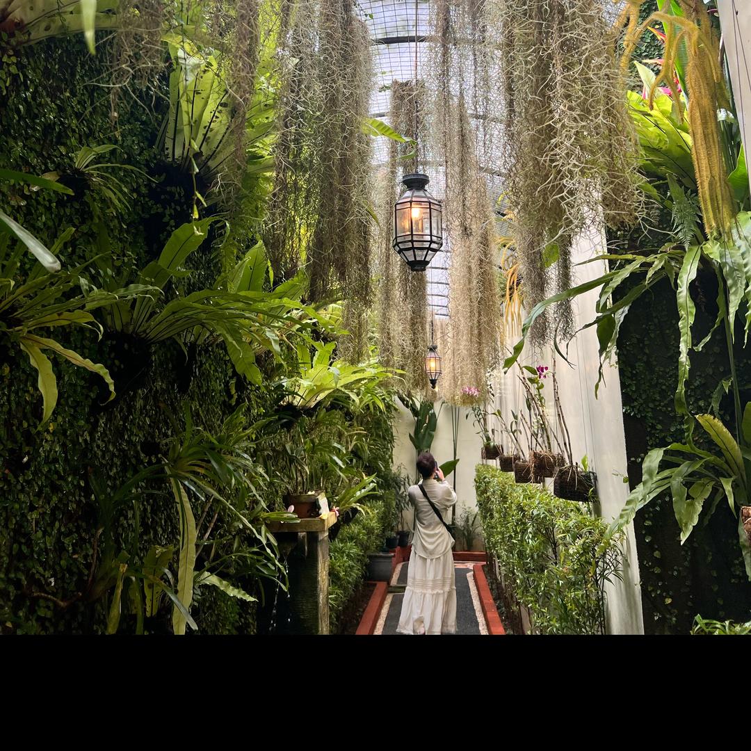 小虎牙大山里的姑凉