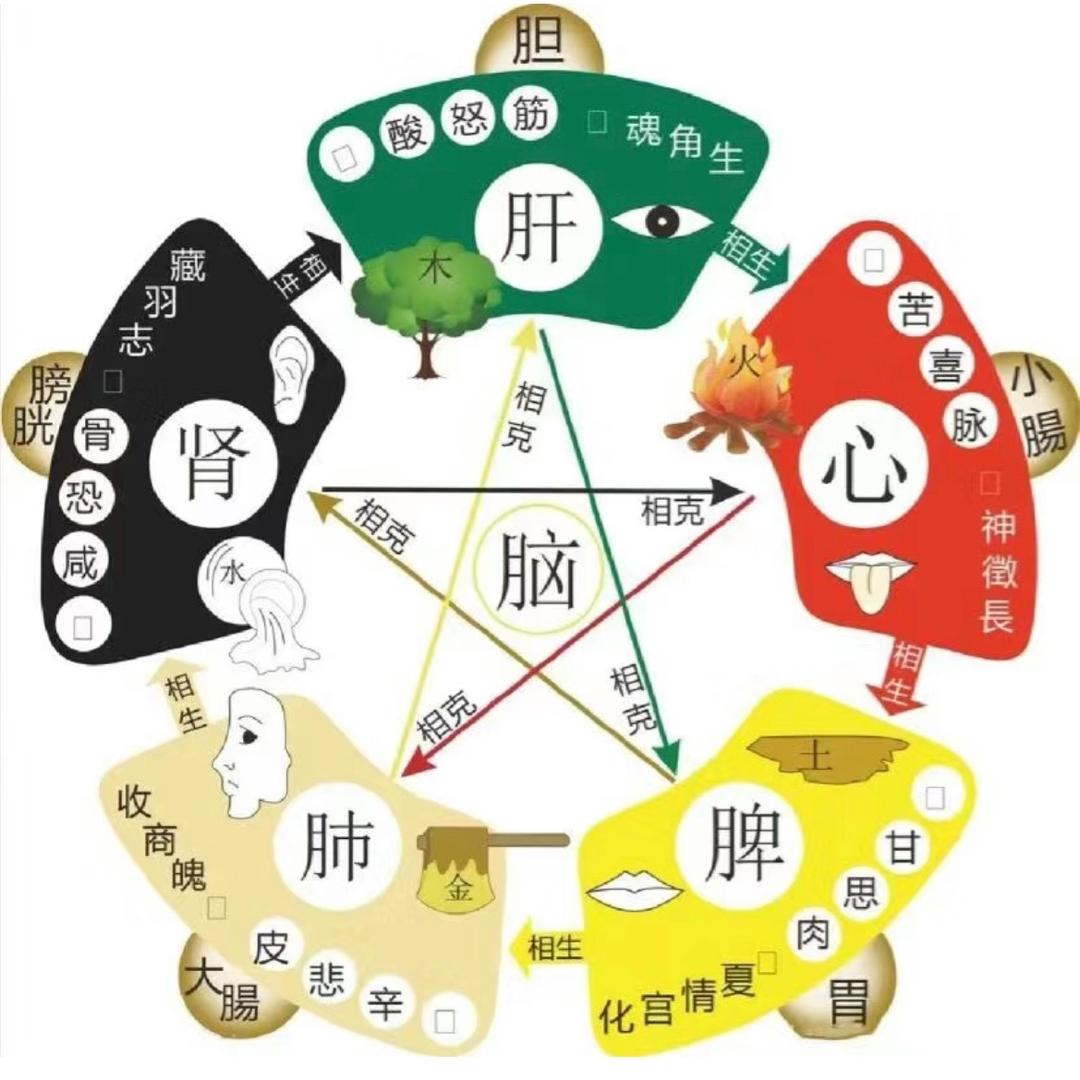 营养每日说