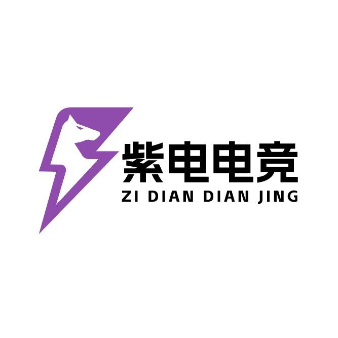 紫电电竞