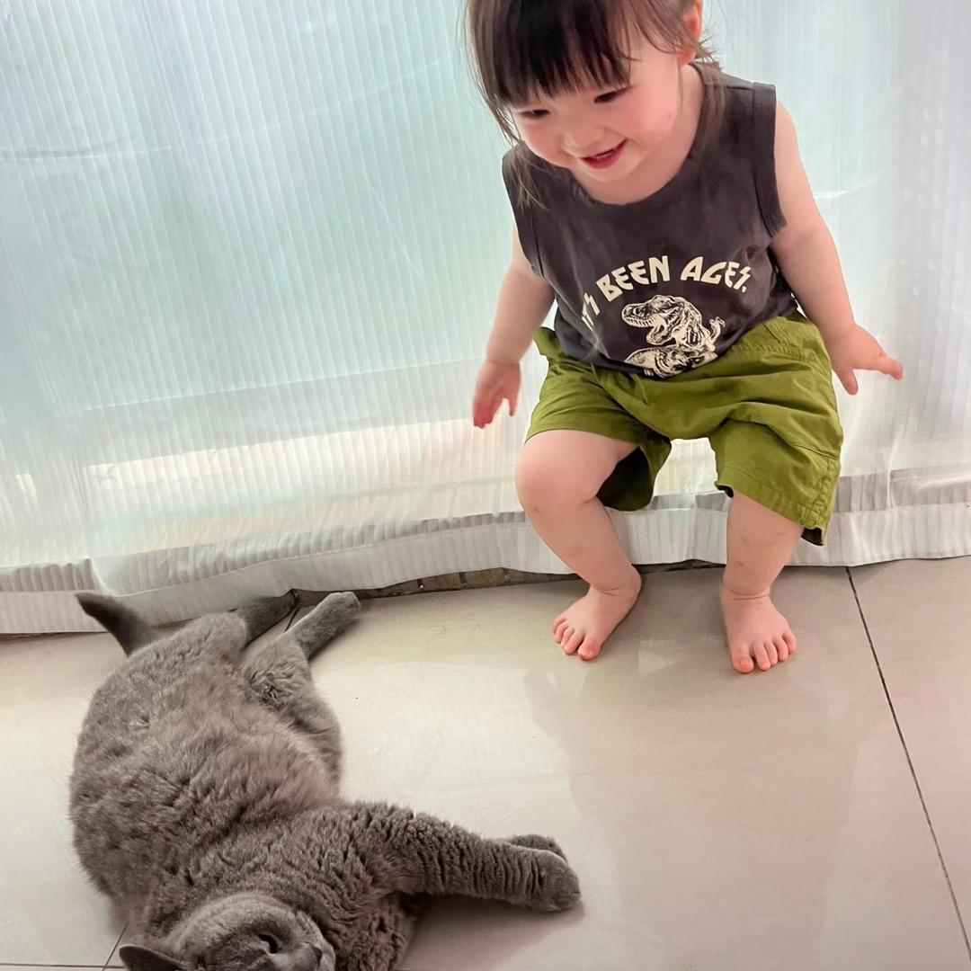 哦哟西西