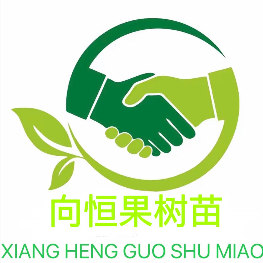 果木岛向恒果树苗木专卖店