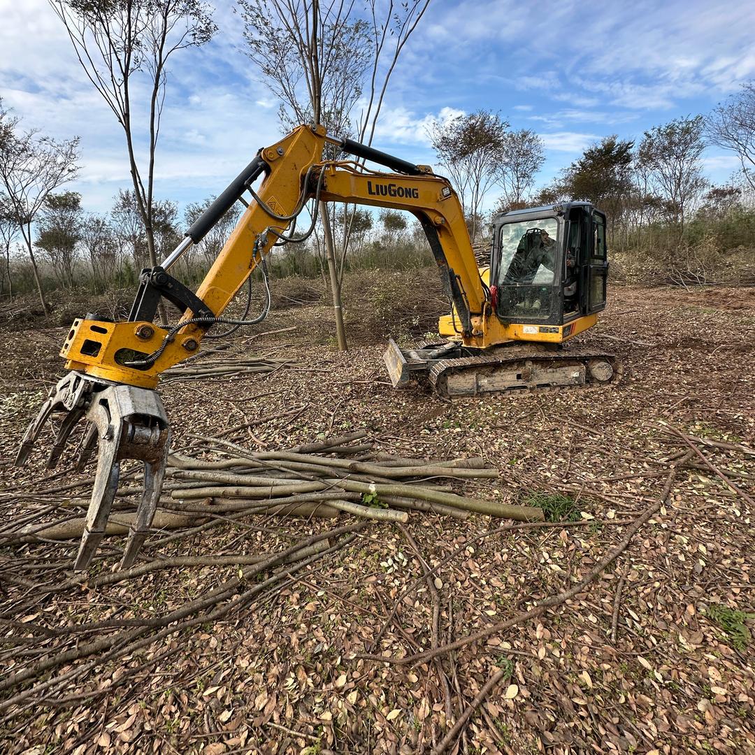 芋头爱上夹木器