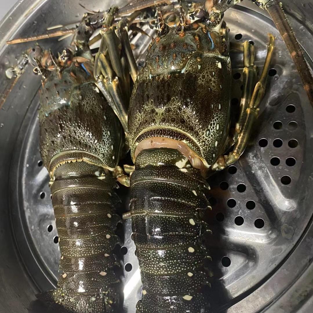 味来可柒