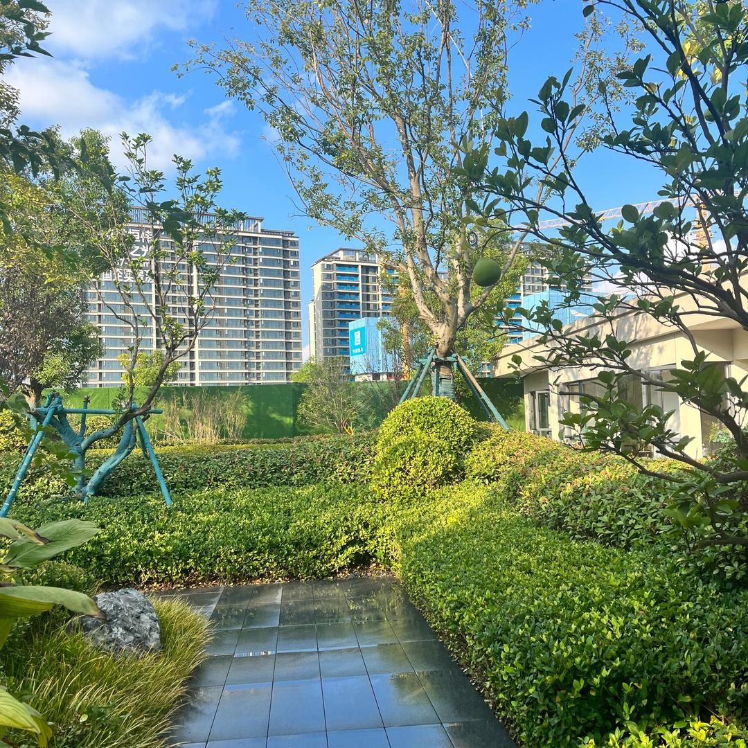 城发西宸之光——陆智慧