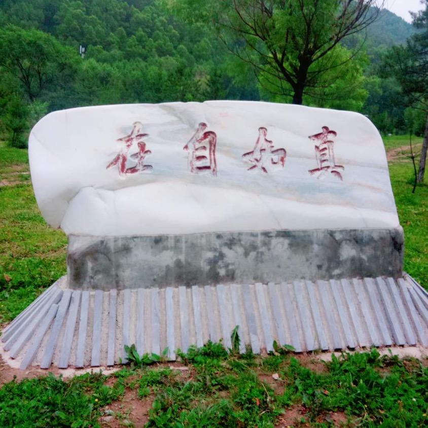 天津 啊雷