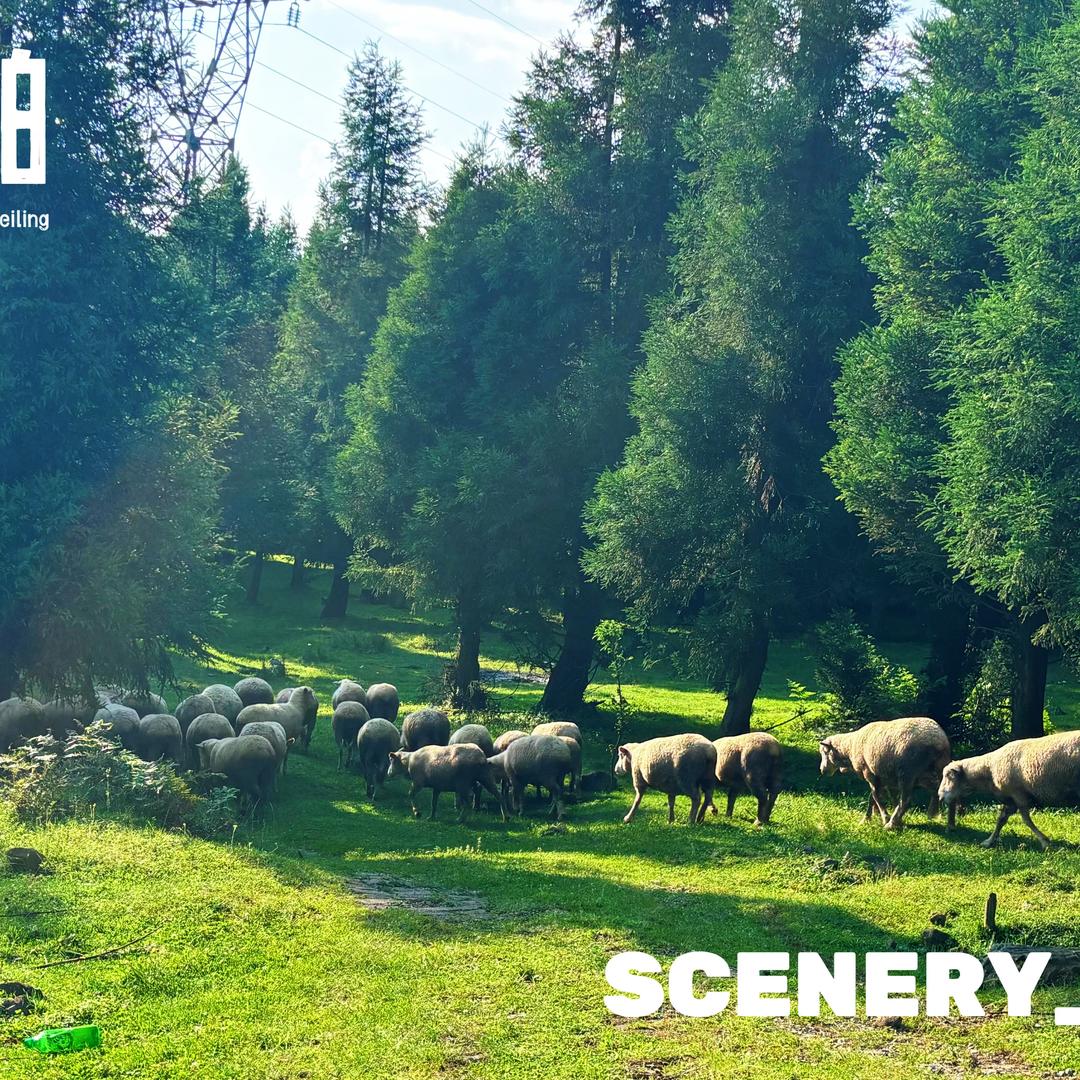 👰 依依服装工作室