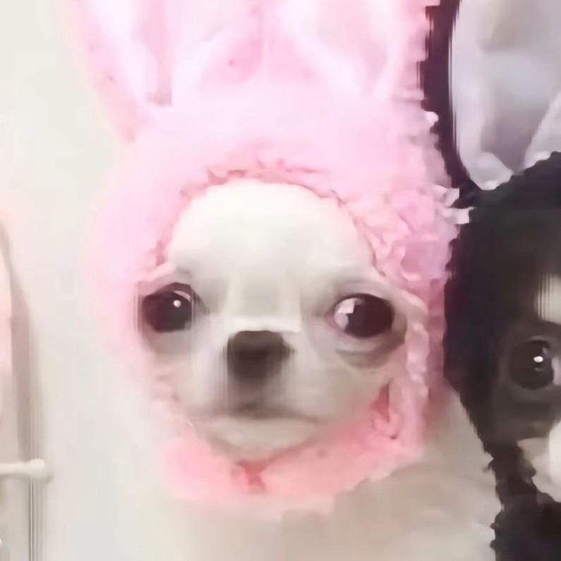 略略略