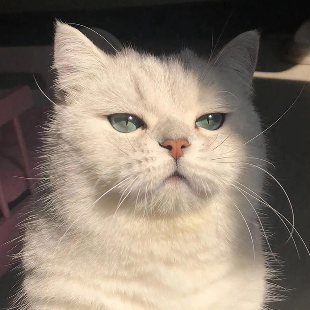 .H.