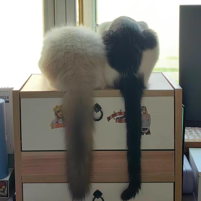 小菊猫🥳