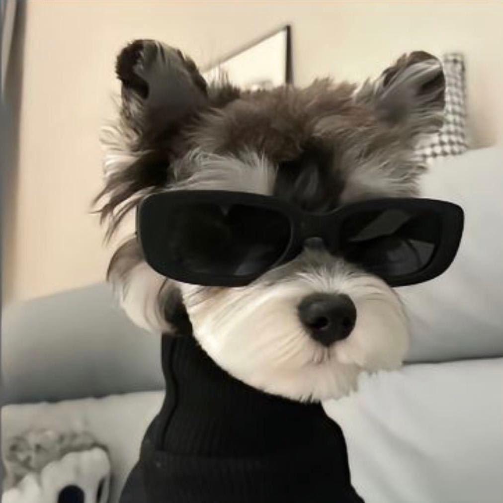 你开心天下第一