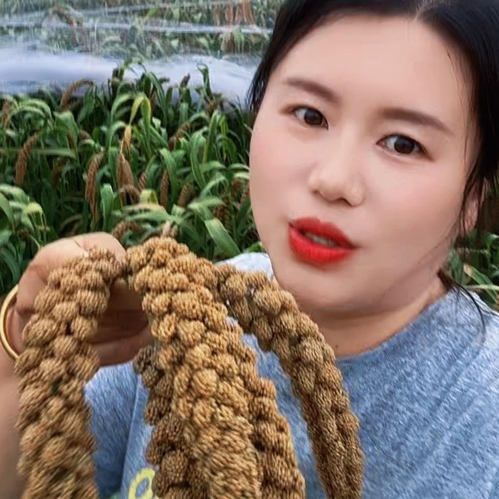 爱吃红薯的🍠任小妮