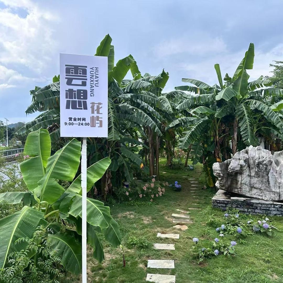 雲想·花屿