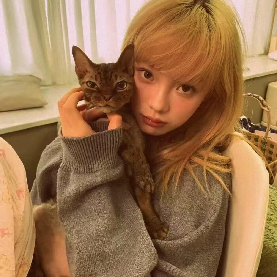 小N不爱吃豆腐脑.